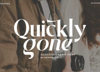 Quickly Gone Serif Font