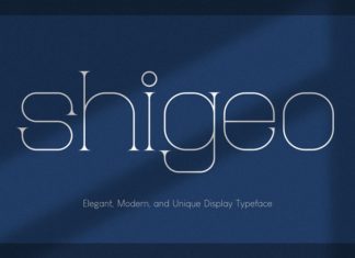 SHIGEO Serif Font