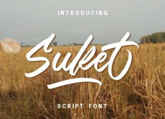 Suket Script Font