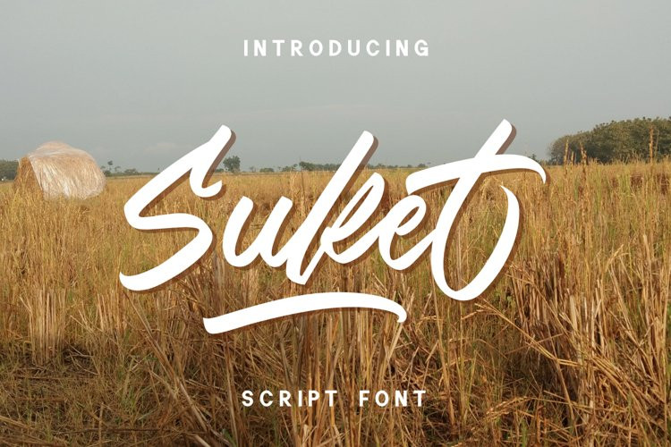 Suket Script Font