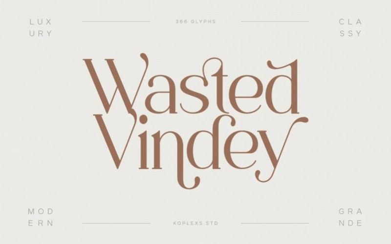 Wasted Vindey Serif Font