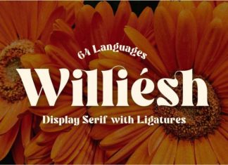 Williesh Serif Font