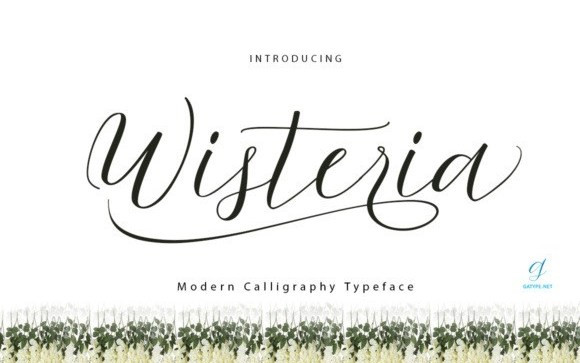 Wisteria Calligraphy Font