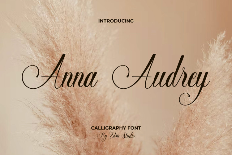 Anna Audrey Calligraphy Font
