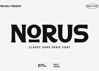 Norus Serif Font
