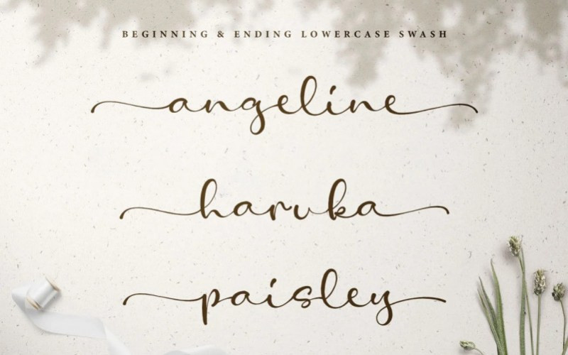 Amelia Stanley Script Font