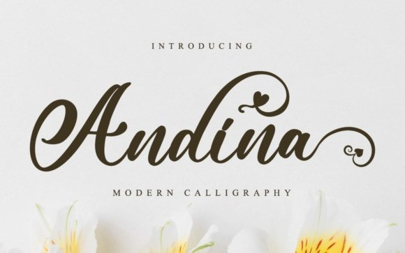 Andina Calligraphy Font