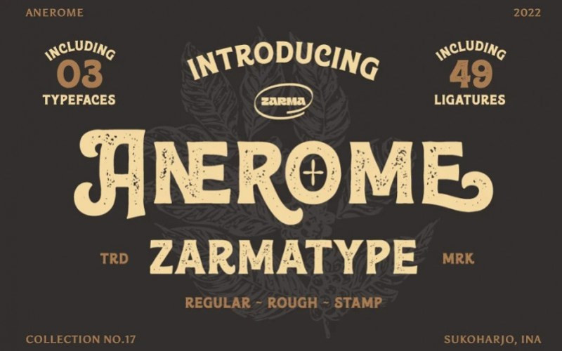 Anerome Display Font