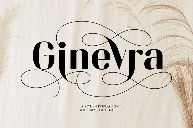 Ginevra Sans Serif Font