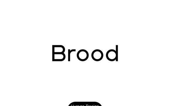 Brood Sans Serif Font