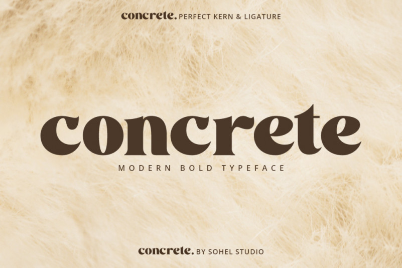 Concrete Serif Font