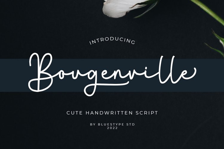 Bougenville Handwritten Typeface