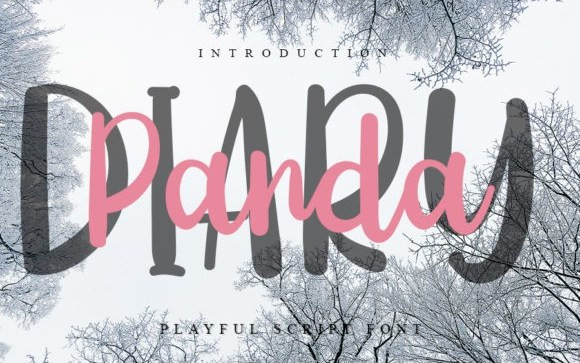 Diary Panda Script Font