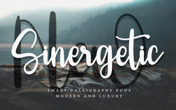 New Sinergetic Script Font