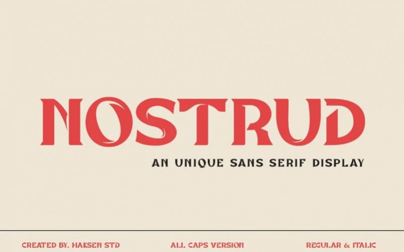 Nostrud Display Font