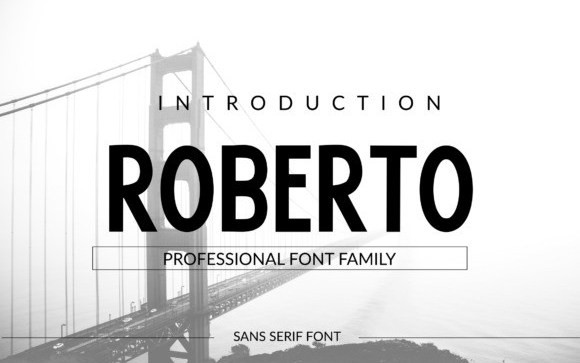 Roberto Sans Serif Font