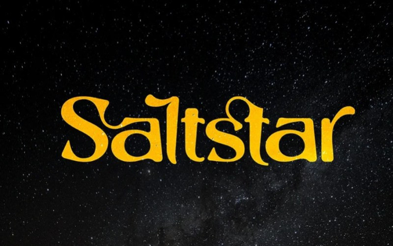 Saltstar Serif Font