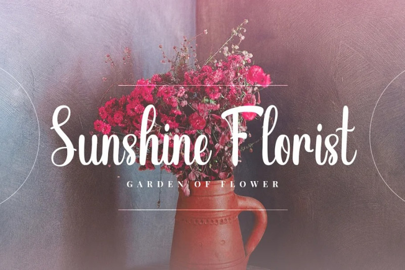 Romie Creative Handwritten Font