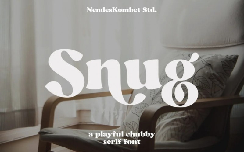 Snug Serif Font