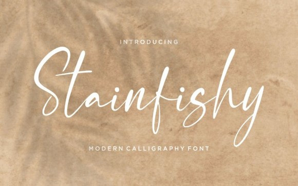 Stainfishy Script Font