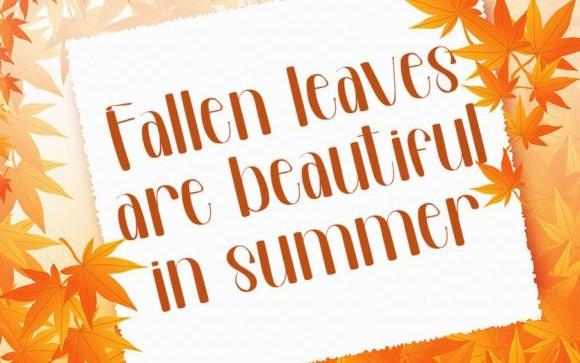 Summer Signature Script Typeface