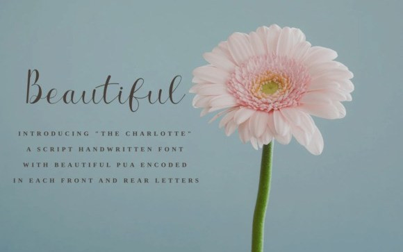 The Charlotte Calligraphy Font