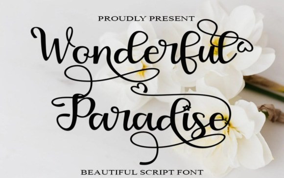 Wonderful Paradise Script Font