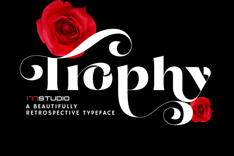 Trophy Serif Font