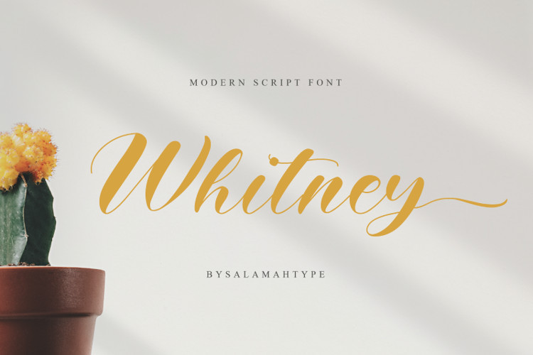 Whitney Calligraphy Font