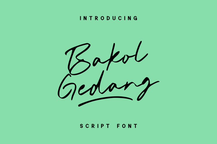 Bakol Gedang Handwritten Font