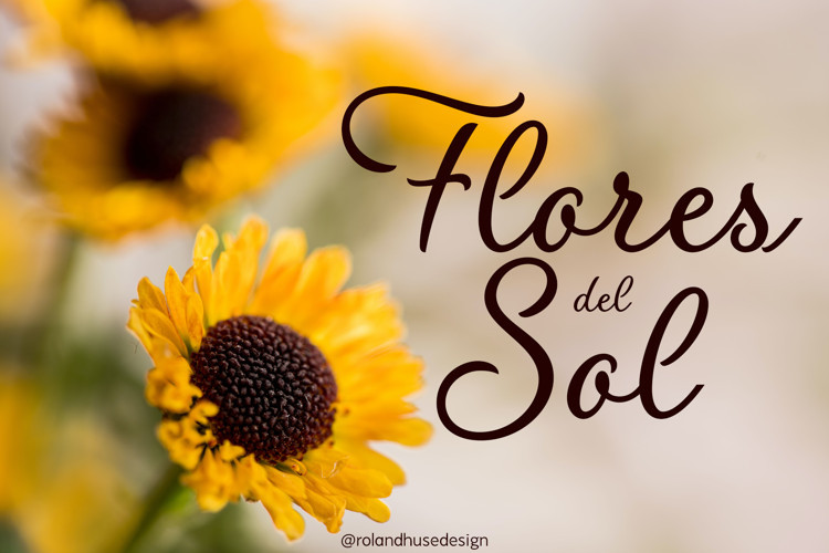 Flores Del Sol Handwritten Font