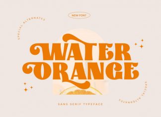 Water Orange Sans Serif Font
