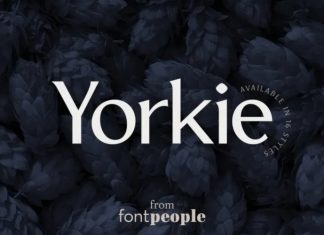Yorkie Sans Serif Font