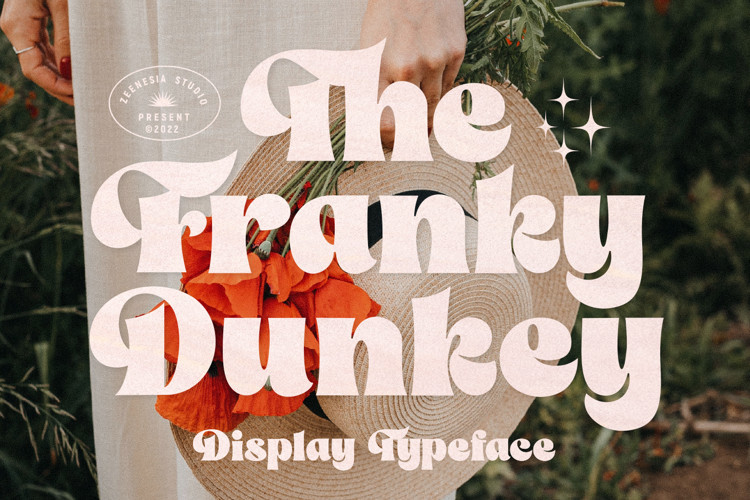 The Franky Dunkey Serif Font