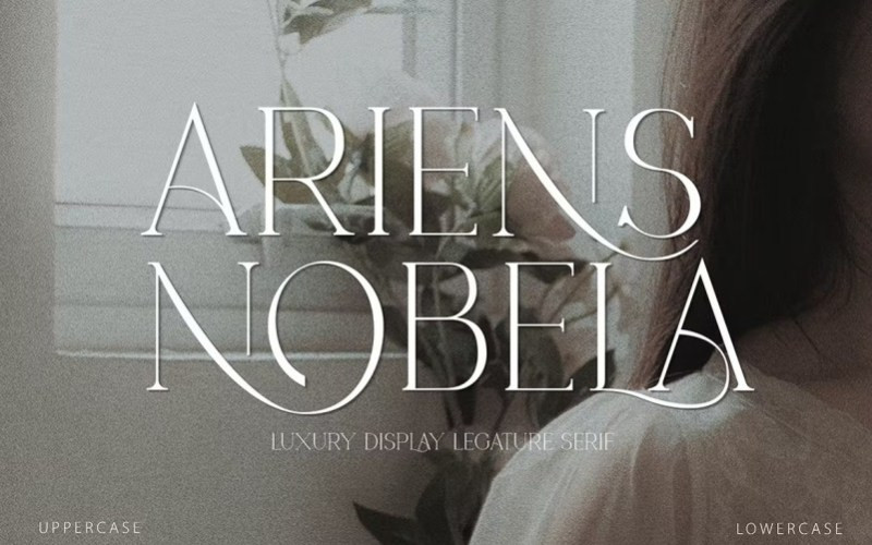 Ariens Nobela Serif Font