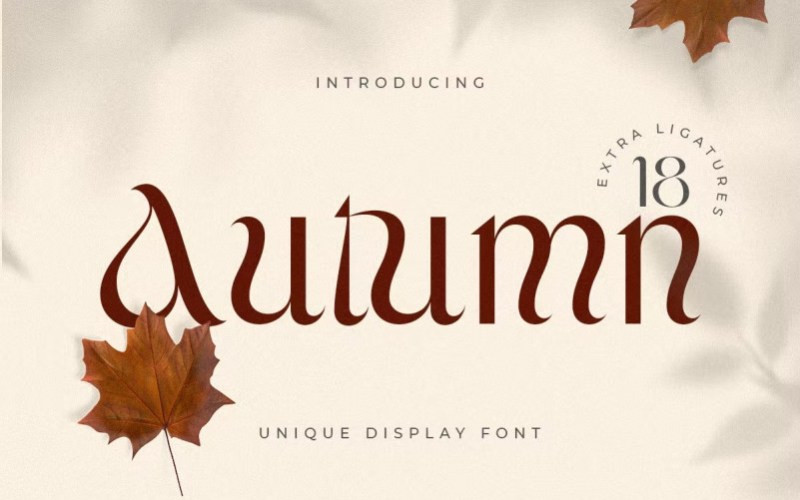 Autumn Display Font