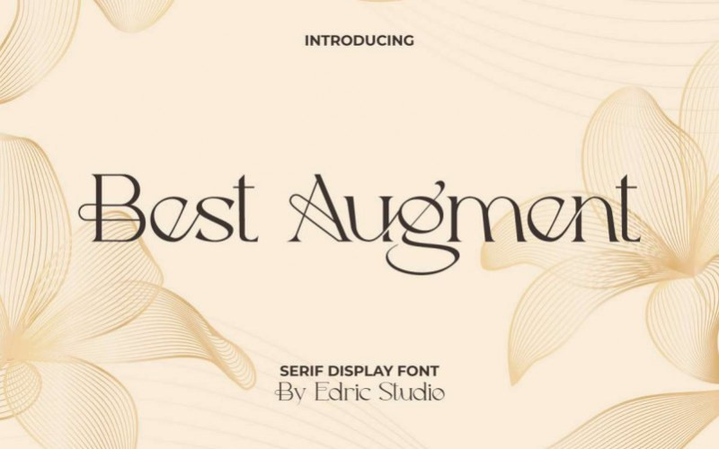 Best Augment Serif Font