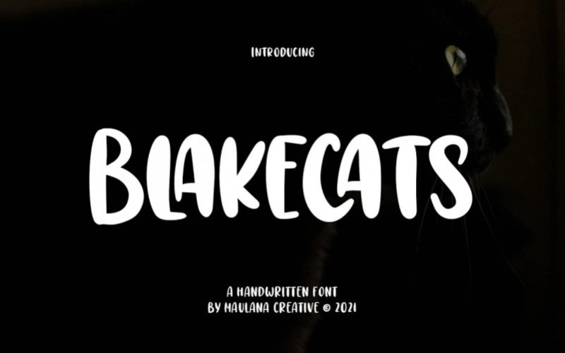 Blakecats Display Font