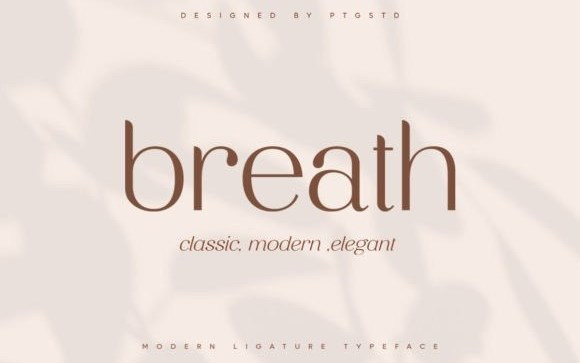 Breath Sans Serif Font