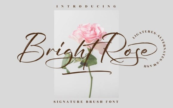 Bright Rose Brush Font