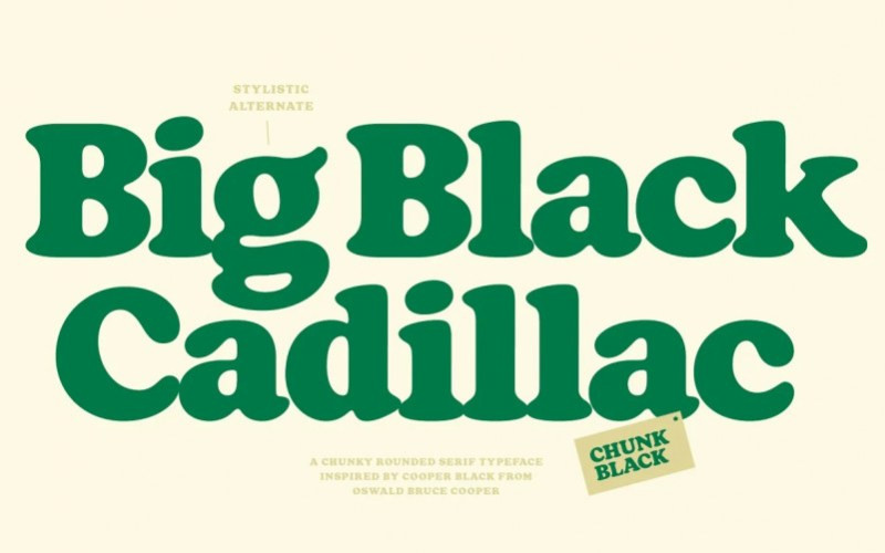 Chunk Black Serif Font