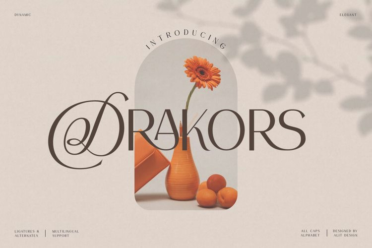 Drakors Serif Font