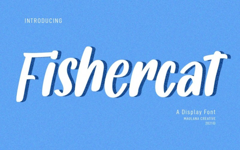 Fishercat Display Font