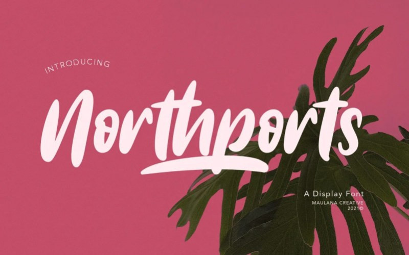 Northports Handwritten Font