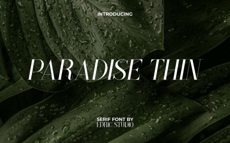 Paradise Thin Serif Font