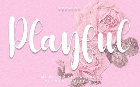 Playful Script Font