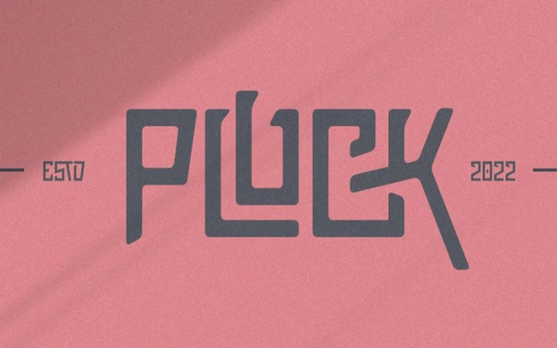 Pluck Display Font