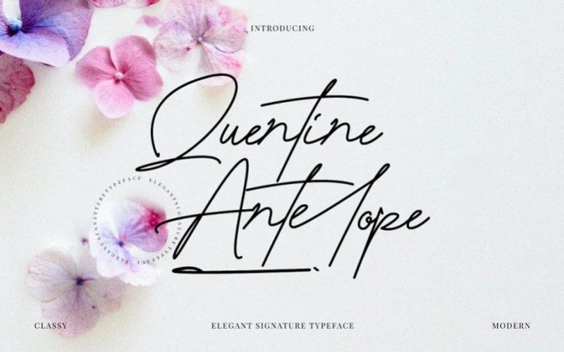 QuentineAntelope Handwritten Font