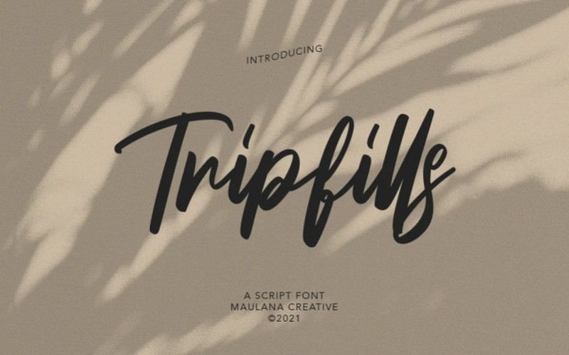 Tripfills Handwritten Font