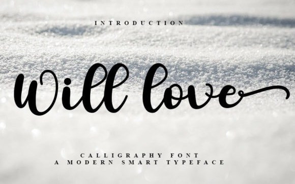 Will Love Script Font